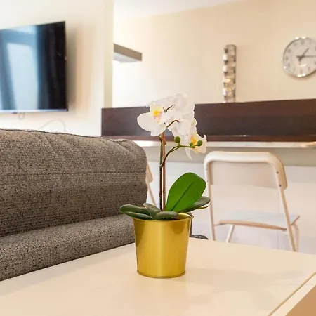 Lu&cia Casa Picasso Malaga